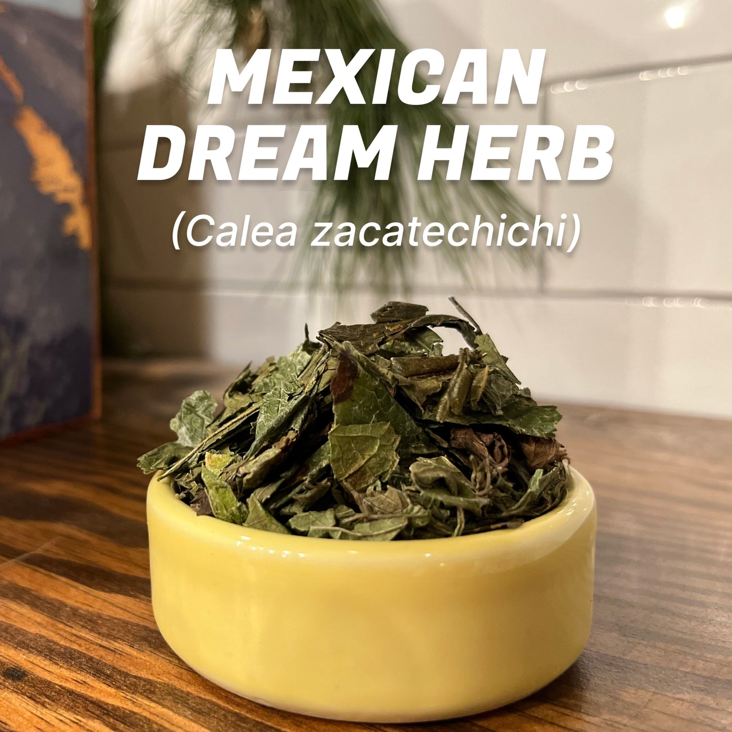 Mexican Dream Herb | Calea zacatechichi | Organic Dried Leaf