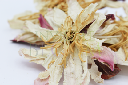 Premium White Lotus · Flowers · 100% Organic · Phytosanitary Certificate Included