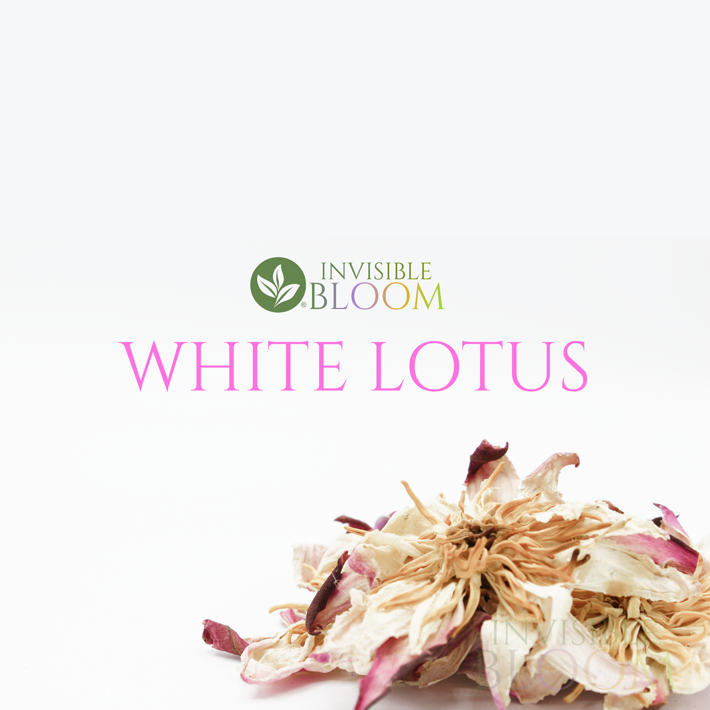 Premium White Lotus · Flowers · 100% Organic · Phytosanitary Certificate Included