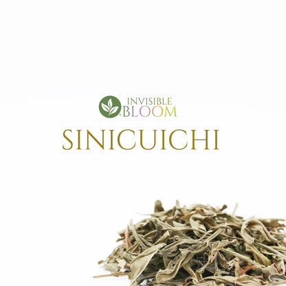 Sinicuichi | Heimia salicifolia | Auditory Exploration | Herbal Dream Brew | Organic Dried Leaf (Copy)