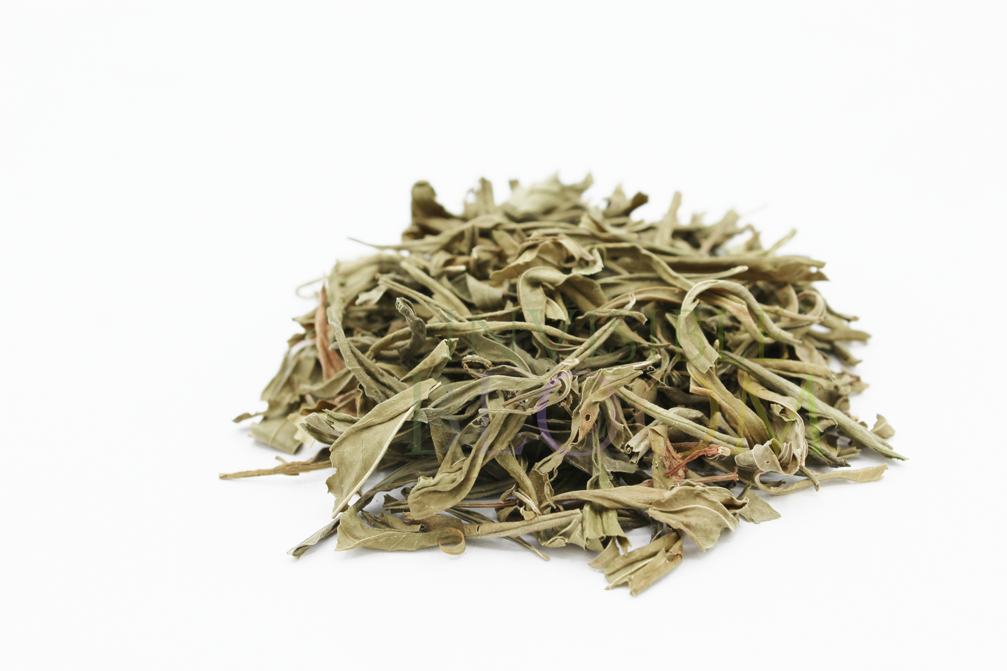 Sinicuichi | Heimia salicifolia | Auditory Exploration | Herbal Dream Brew | Organic Dried Leaf (Copy)