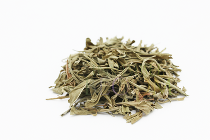 Sinicuichi | Heimia salicifolia | Auditory Exploration | Herbal Dream Brew | Organic Dried Leaf (Copy)