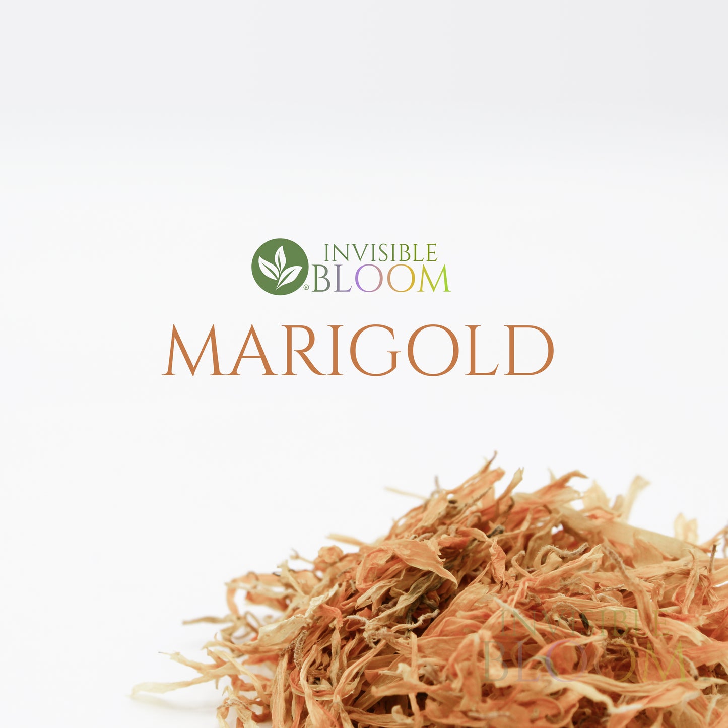 Marigold Petals • Calendula officinalis • 100% Organic • Leaf Enhancement