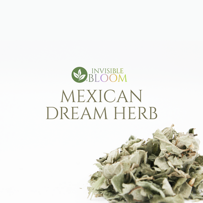 Mexican Dream Herb | Calea zacatechichi | Organic Dried Leaf