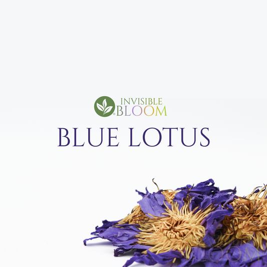 Egyptian Blue Lotus | Nymphaea caerulea | Organic Dried Flower